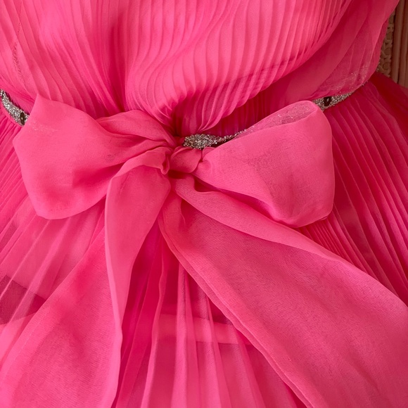 Vintage Pink Chiffon Dress - Picture 6 of 7